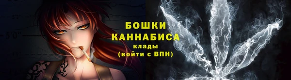 СК Инта