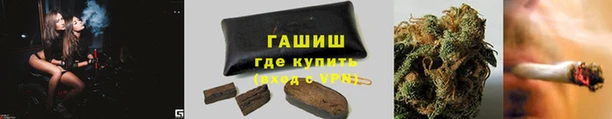 СК Инта