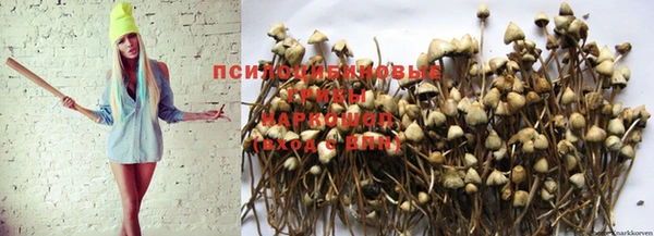 кокаин VHQ Каменка