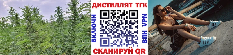 Купить где  Нолинск  ТГК THC oil 